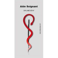 Caducee-Aide-Soignant-Diplome-d-Etat-masculin