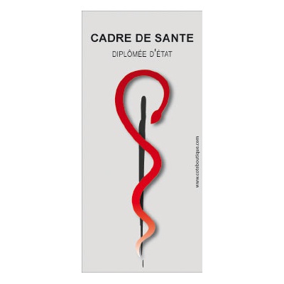 Caducee-Cadre-de-sante-Diplome-d-etat