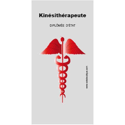 Caducee-Kinesitherapeute-Diplomee-d-etat